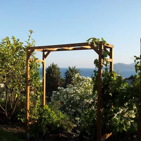 Villa Oasis Sea View With 4 Bedrooms Swimming Pool Garden *