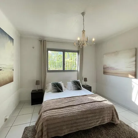 Oasis Sea View With 4 Bedrooms Swimming Pool Garden Cannes