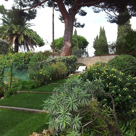 Villa Oasis Sea View With 4 Bedrooms Swimming Pool Garden *